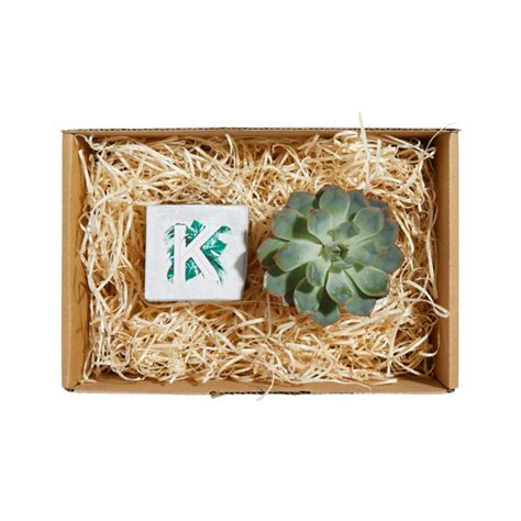 Win a Crimbo hamper, tangible Christmas gifts and more with the Spin.